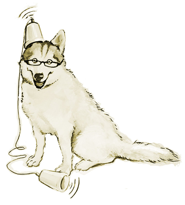timberkame-mascot - loading